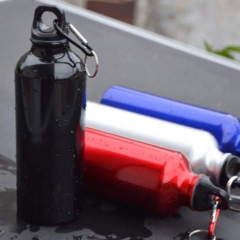 GA - Aluminum Water Bottle With Carabiner - 500 ml / 16.9 ounces