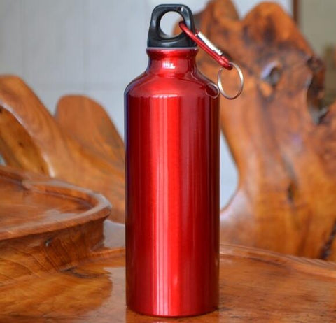 GA - Aluminum Water Bottle With Carabiner - 500 ml / 16.9 ounces